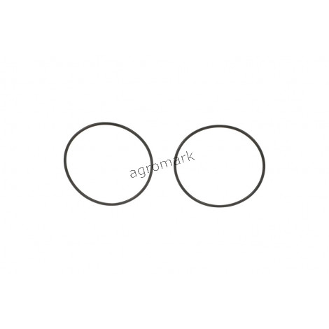 O-ring