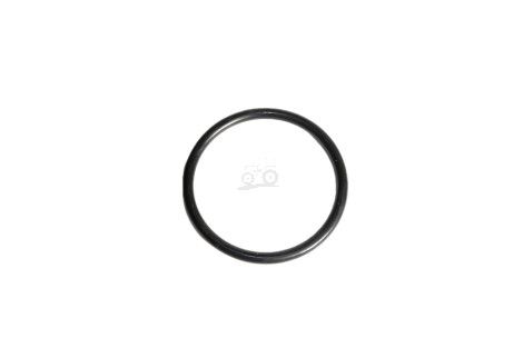 O-ring
