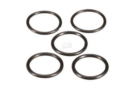O-ring