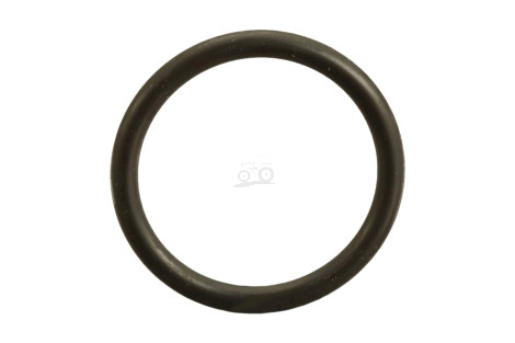 O-ring