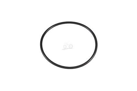O-ring