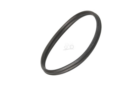 O-ring odmy IVECO